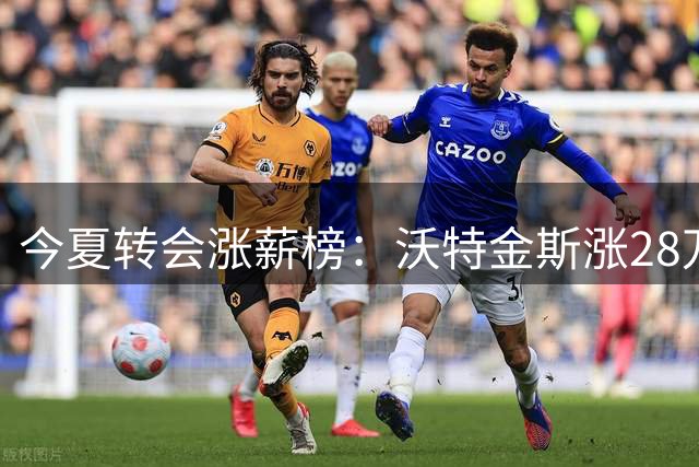 今夏转会涨薪榜：沃特金斯涨28万镑居首